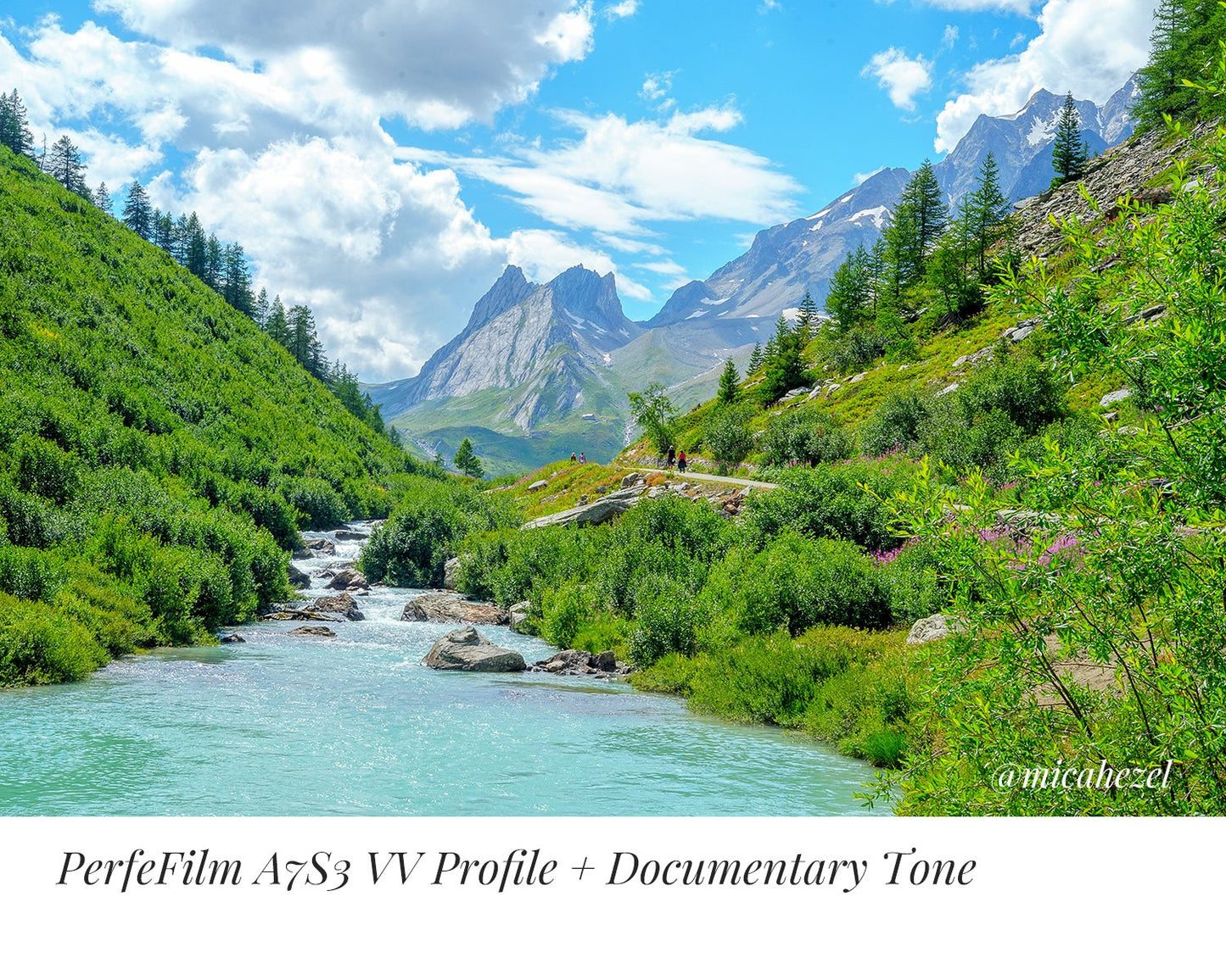 PerfeFilm A7S3 Lightroom camera raw color profiles, licensed for one camera. Simulate Sony A7S3 color.