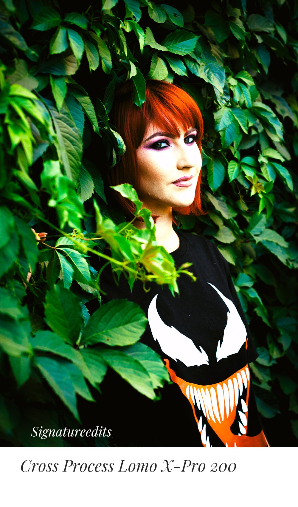 PerfeFilm Cross Process Films - Lightroom camera raw color profiles, licensed for one camera