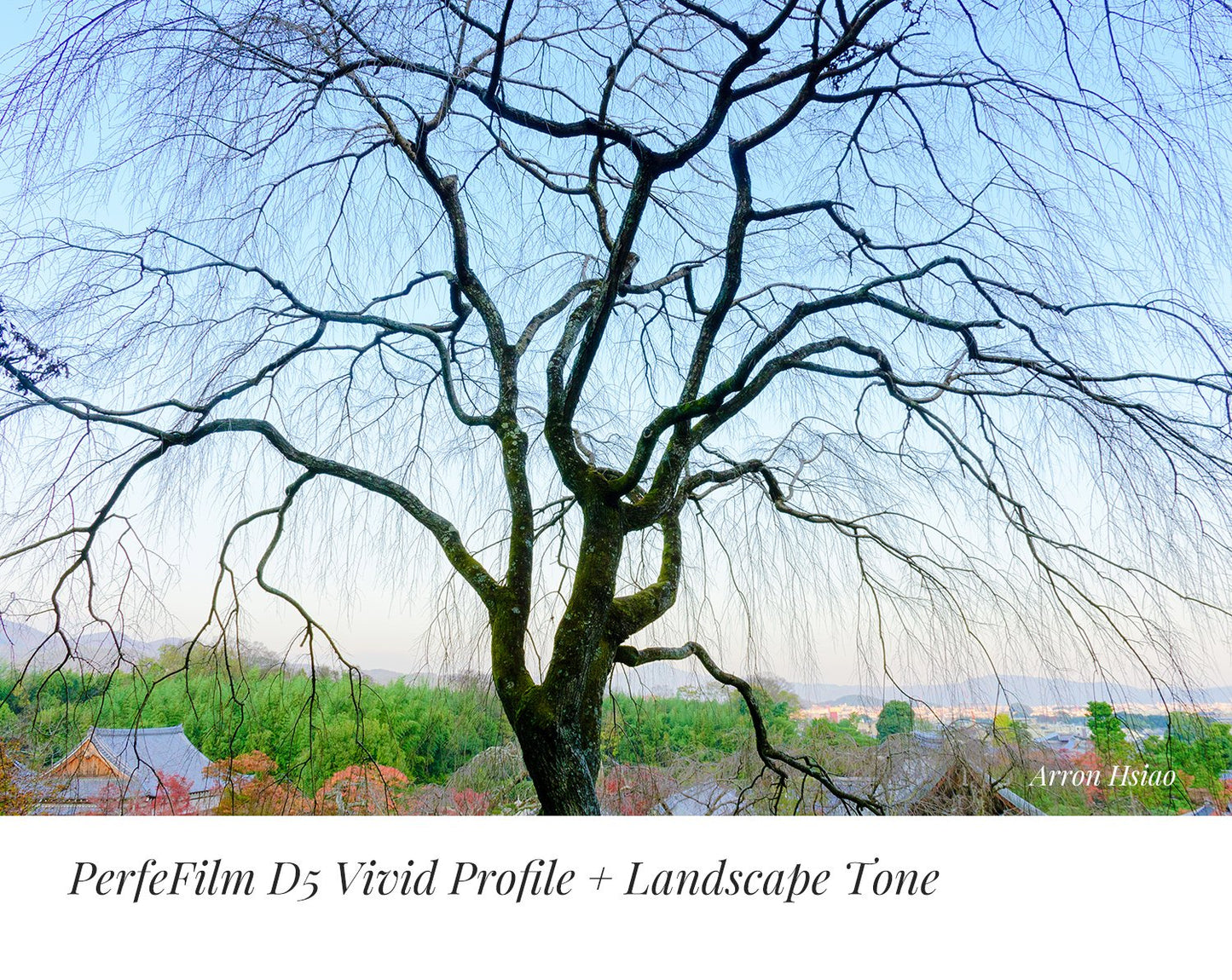 PerfeFilm D850 Lightroom camera raw color profiles, licensed for one camera. Simulate Nikon D850 color.