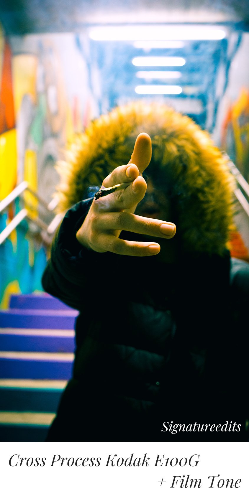 PerfeFilm Cross Process Films - Lightroom camera raw color profiles, licensed for one camera