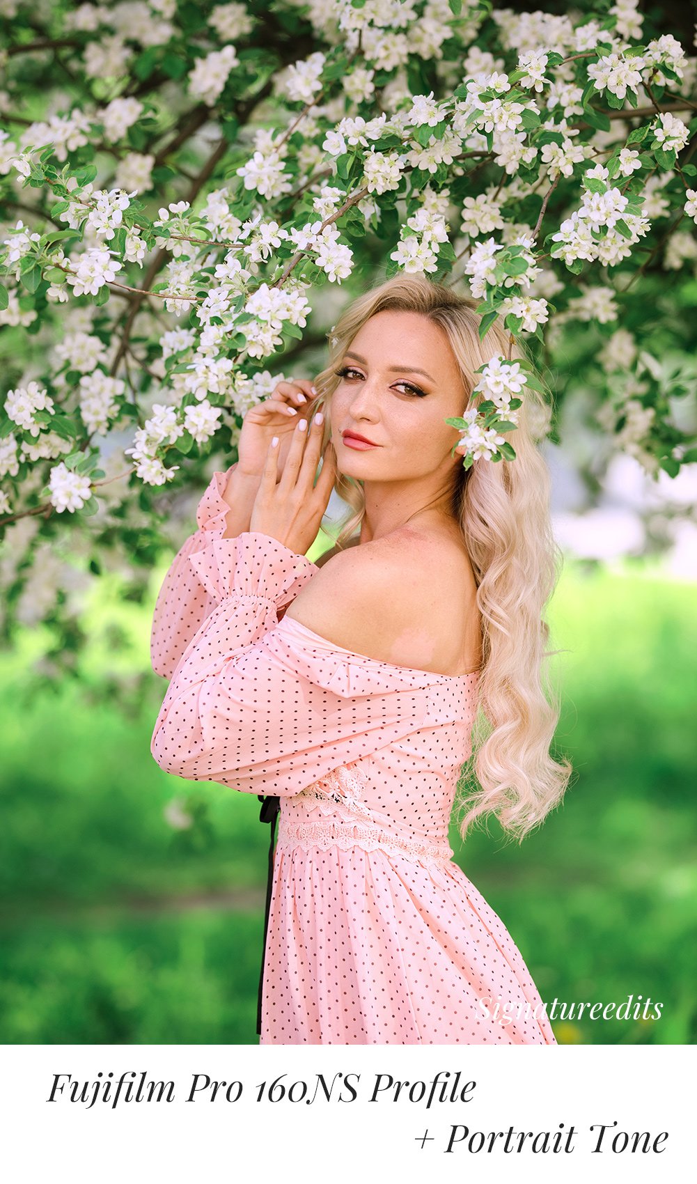 PerfeFilm Color Negative Films, Lightroom camera raw color profiles, licensed for one camera