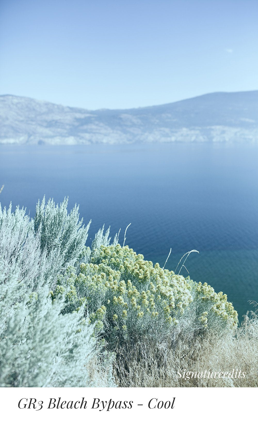 PerfeFilm GRIII Lightroom camera raw color profiles, licensed for one camera. Simulate Ricoh GRIII color.