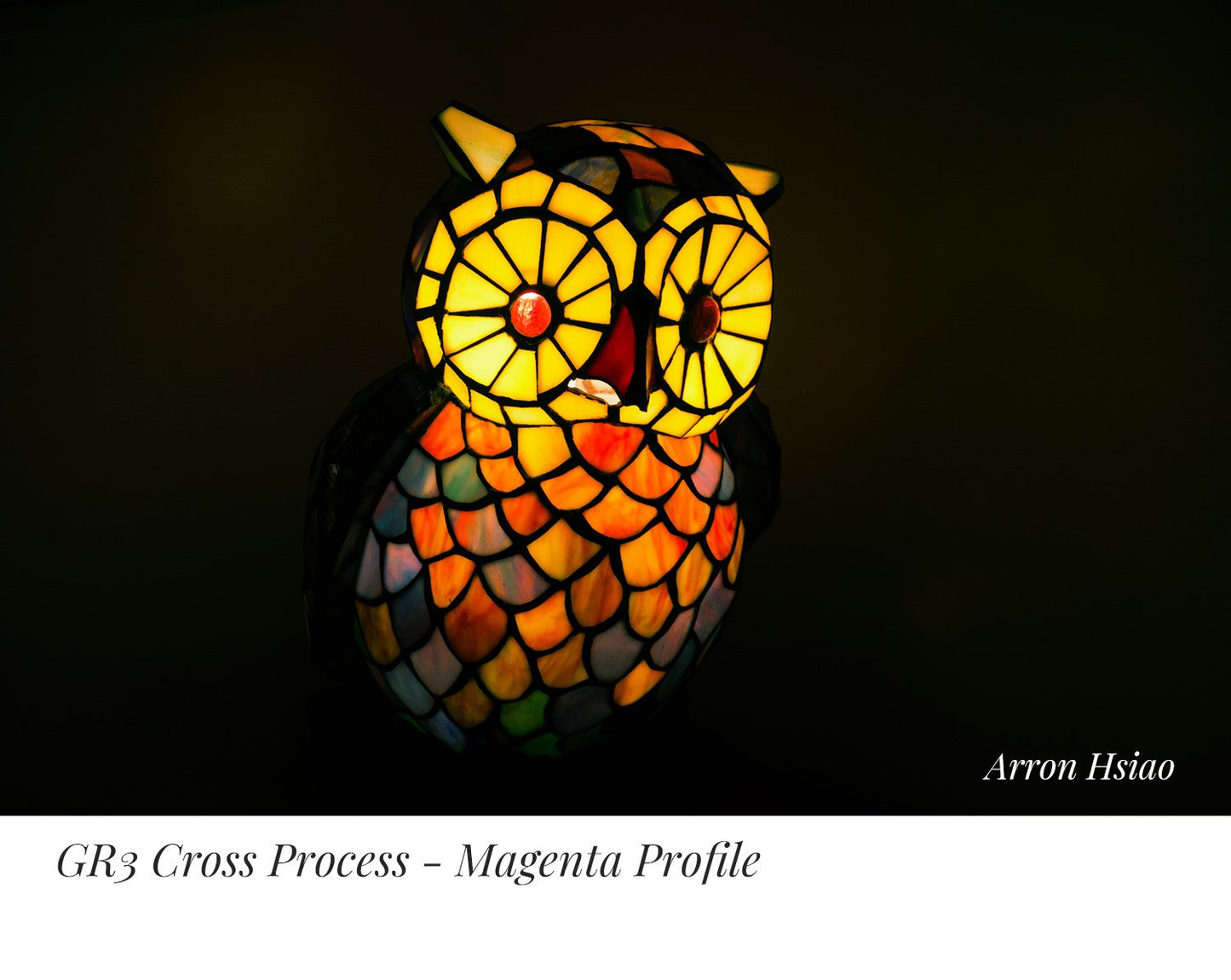 PerfeFilm GRIII Lightroom camera raw color profiles, licensed for one camera. Simulate Ricoh GRIII color.