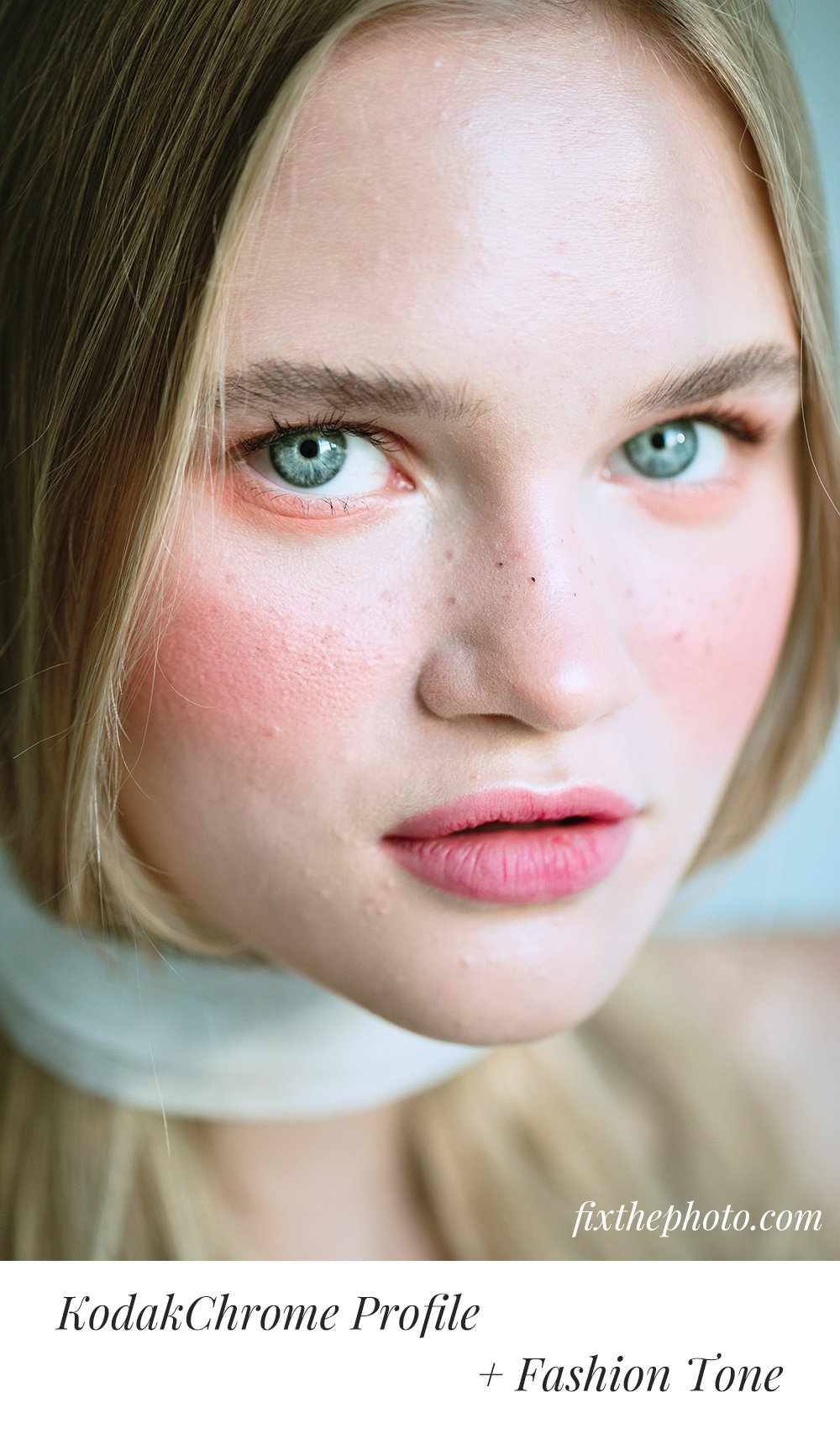 PerfeFilm Positive Films : Lightroom color profiles, license for one camera