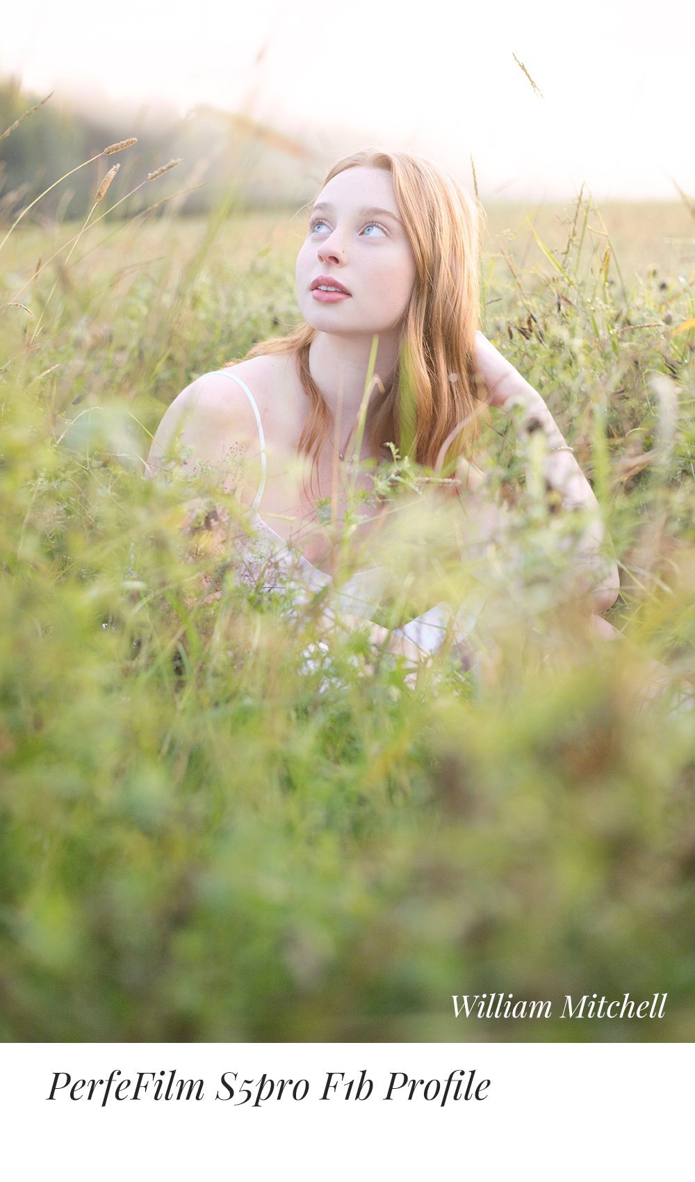 PerfeFilm S5Pro Lightroom camera raw color profiles, licensed for one camera. Simulate Fujifilm FinePix S5Pro color.