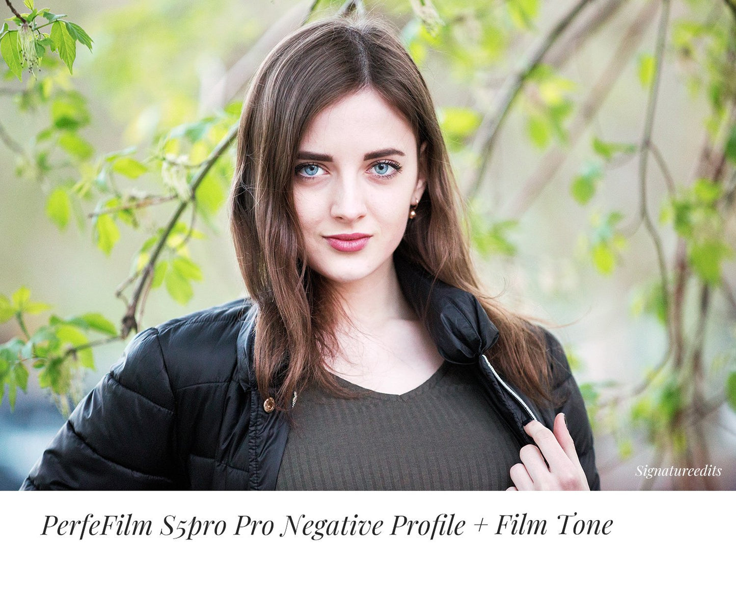 PerfeFilm S5Pro Lightroom camera raw color profiles, licensed for one camera. Simulate Fujifilm FinePix S5Pro color.