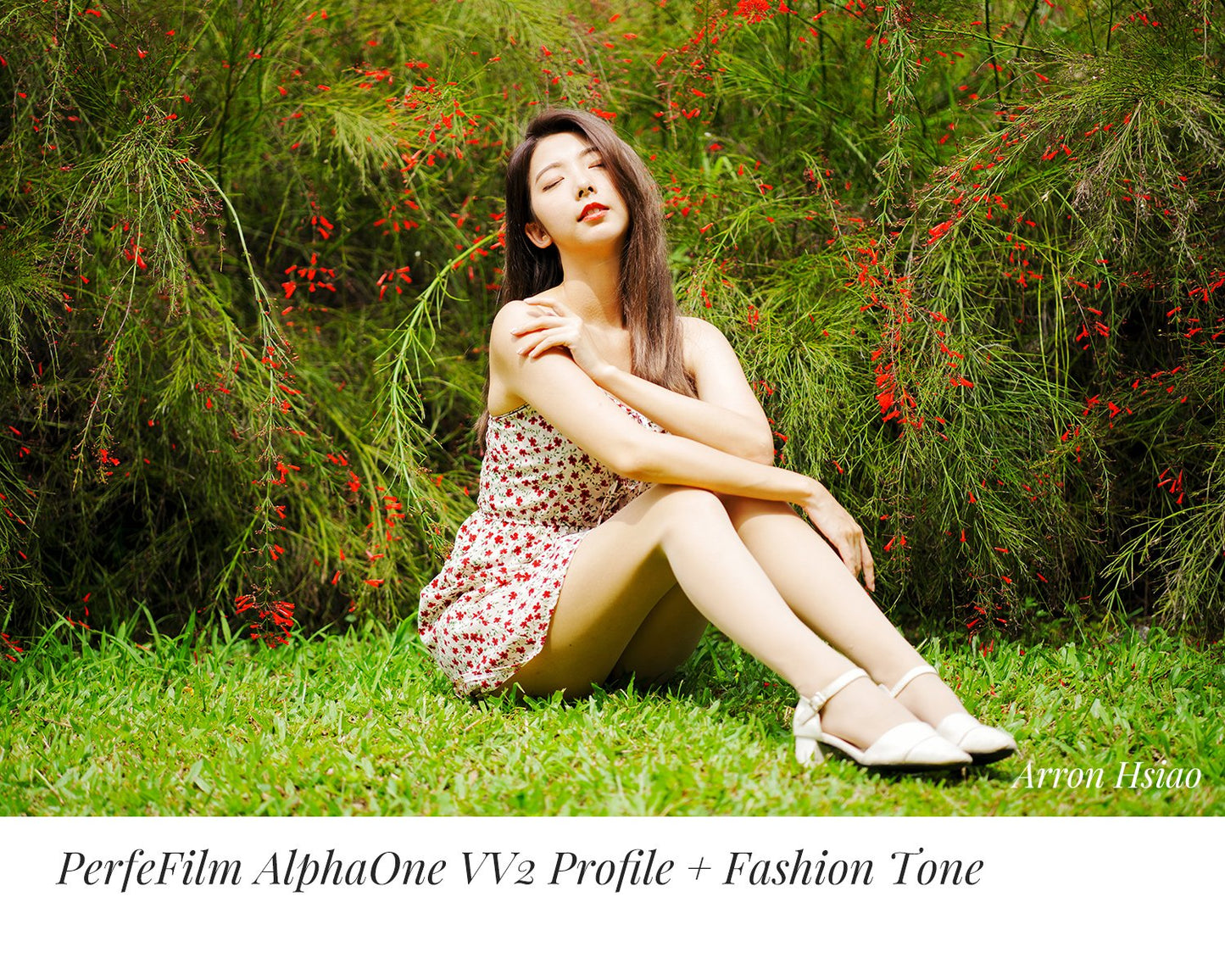 PerfeFilm Alpha One Lightroom camera raw color profiles, licensed for one camera. Simulate Sony Alpha one color.