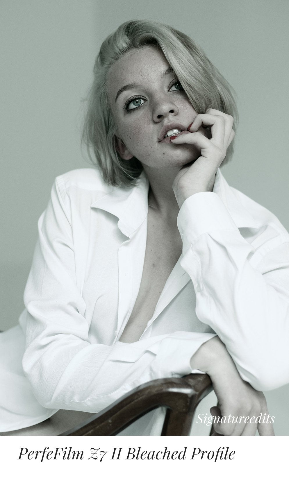 PerfeFilm Z7 II Lightroom camera raw color profiles, licensed for one camera. Simulate Nikon Z7 II color.