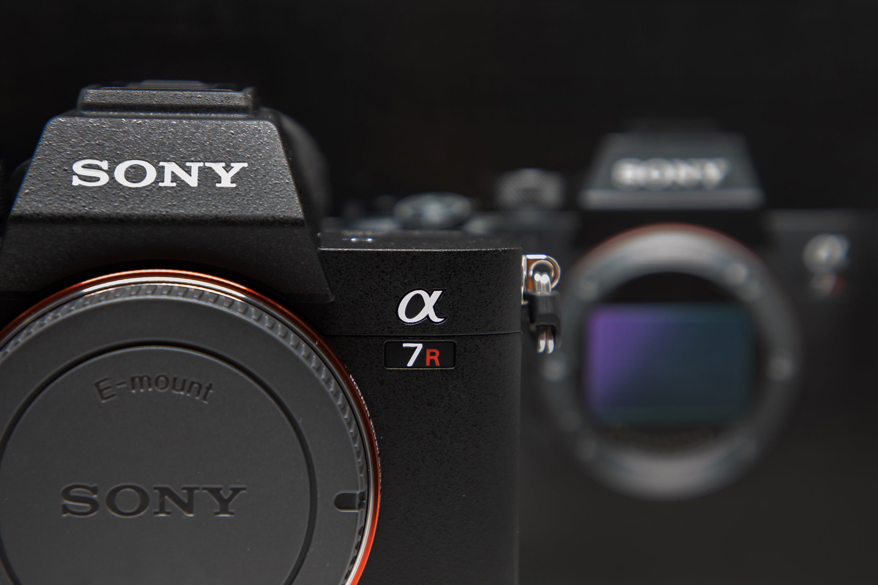 Sony Camera Collection Sony Digital Cameras Collection – PerfeFilm