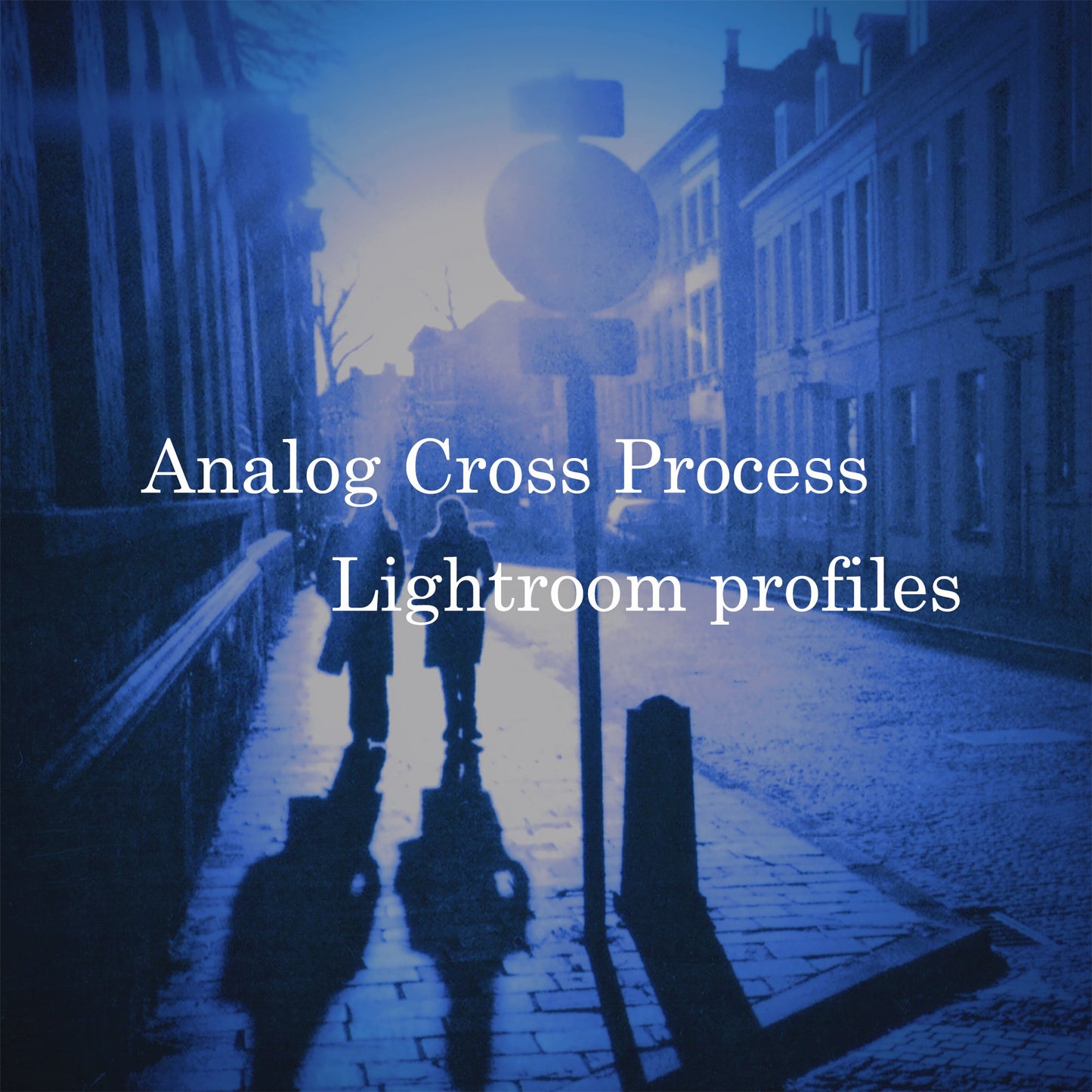 PerfeFilm Cross Process Films - Lightroom camera raw color profiles, licensed for one camera